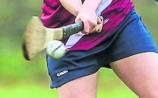 Offaly Camogie Results