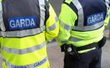  Garda warning issued after dogs kill sheep in Offaly 