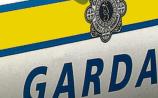 Suspect arrested after garda chase through fields in North Kilkenny
