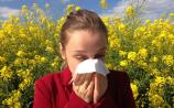 10 tips for dealing with hayfever