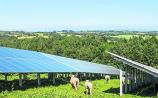 Permission sought for Offaly solar farm