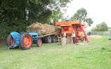 Offaly prepares for 'Black Bull' Threshing Festival 