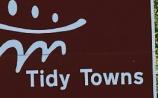 Tidy Towns Offaly
