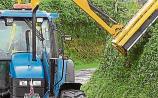 Offaly County Council issue hedge cutting warning 