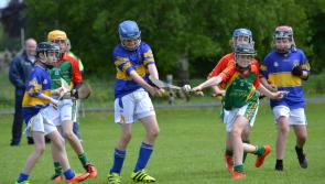 GALLERY: Offaly sides shine at Cistercian College&rsquo;s Prestige Hurling Super Blitz