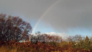 Your Bank Holiday weather forecast 