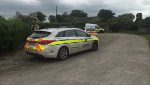 Victim of Offaly shooting released from hospital