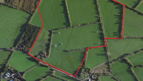 45 acres of prime land goes up for sale in Offaly