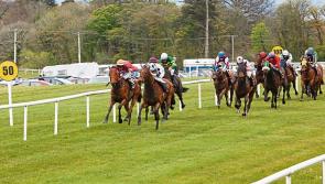 THE PUNTER'S EYE: 'Power' the key for O'Brien at Cork on Saturday 