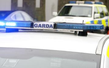 Gardai appeal for information following theft of quad bike in Offaly