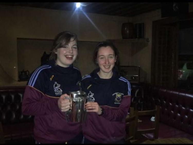 Offaly Camogie Notes (February 20)