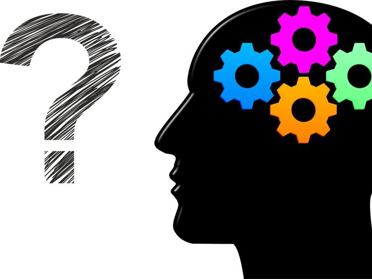 Two Offaly teams through to All-Ireland quiz finals