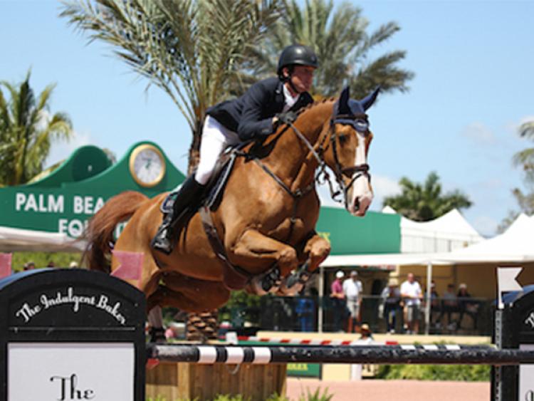 Offaly showjumper wins big in Florida 