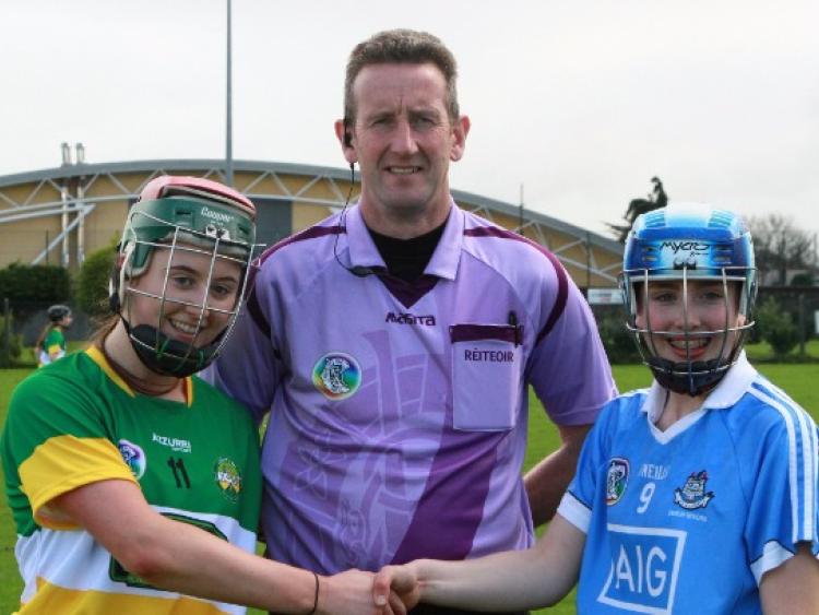 Offaly Camogie Notes (April 4)