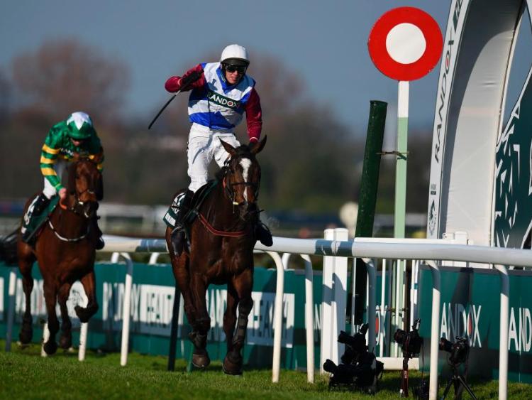Kilkenny horse wins Grand National