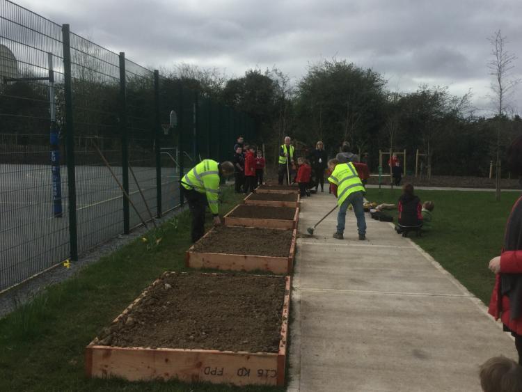 Edenderry Tidy Towns hosting 'Spring Clean Up' this weekend 