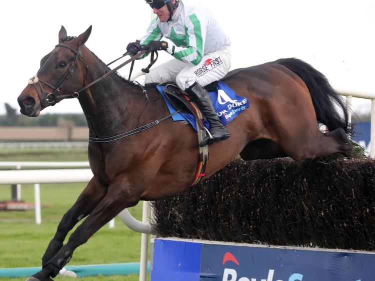 Our Duke wins Irish Grand National for Laois family syndicate
