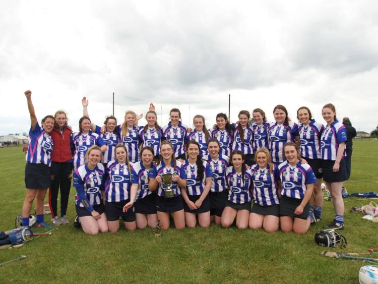St. Cillian's crowned Division 2 Leinster League champions