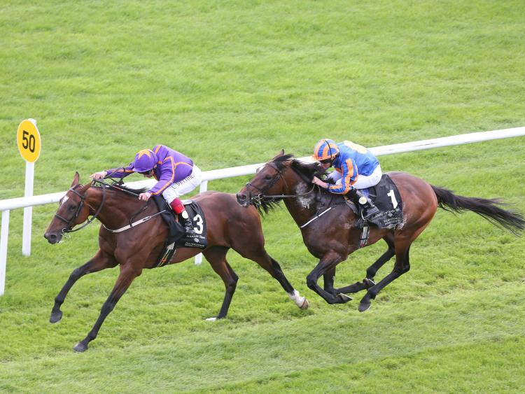 THE PUNTER'S EYE: Four horses that can create 'magic' this weekend