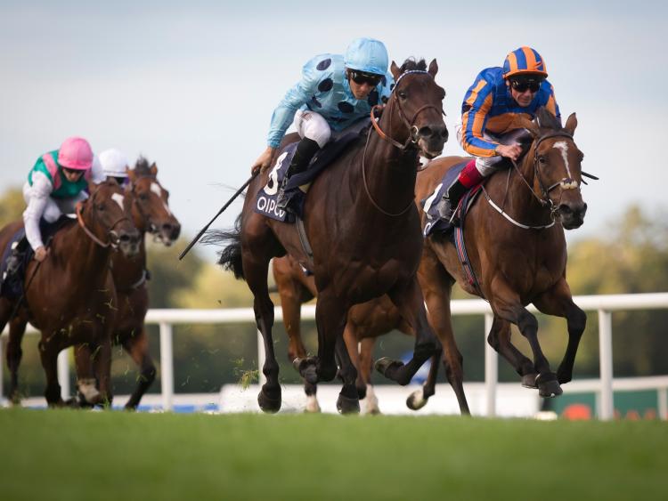 THE PUNTER'S EYE: Five horses to follow at the Curragh this weekend