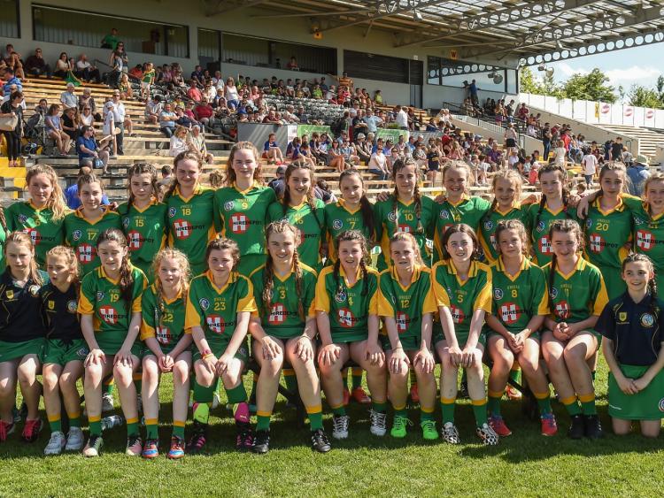 Offaly teams excel at Feile na nGael
