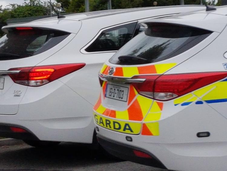 Man due in court following armed Garda operation in Edenderry