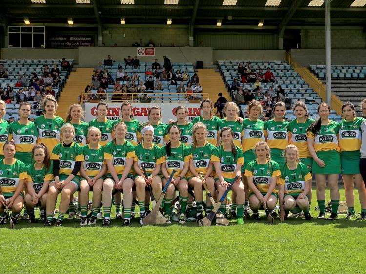 Wexford power past Offaly in All-Ireland opener