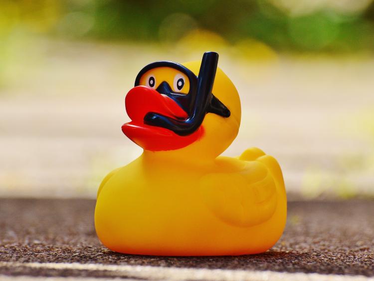 Offaly town to host unique 'Duck Race' fundraiser