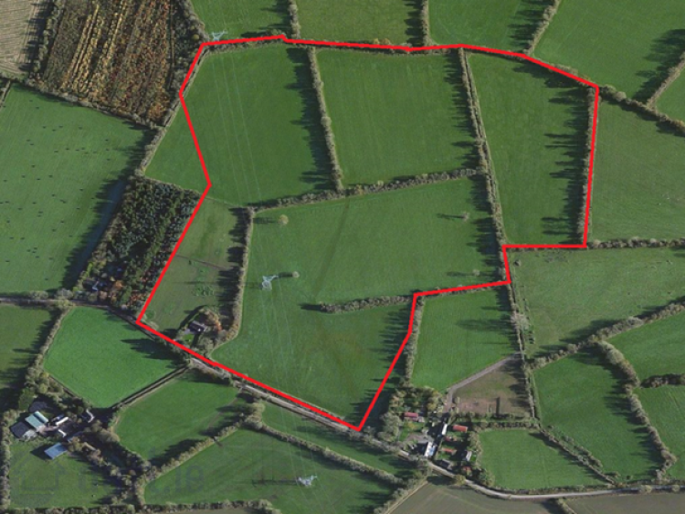 45 acres of agricultural land goes up for sale in Offaly