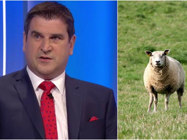 Duignan gets backing from unusual source with views on the GAA's Sky deal  