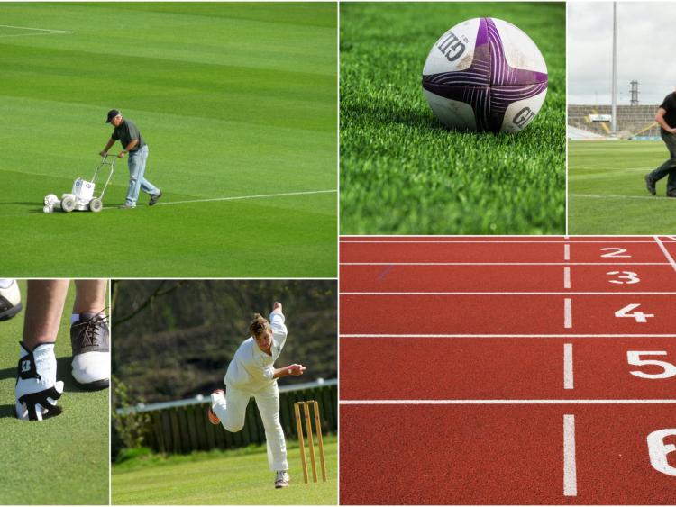 Who is Offaly's best sporting groundskeeper? 