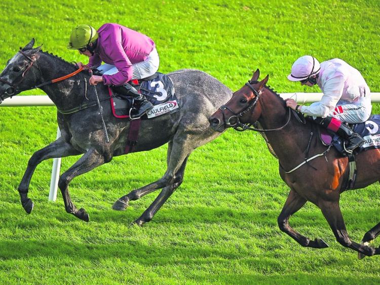 The Galway Races continue into Day 5