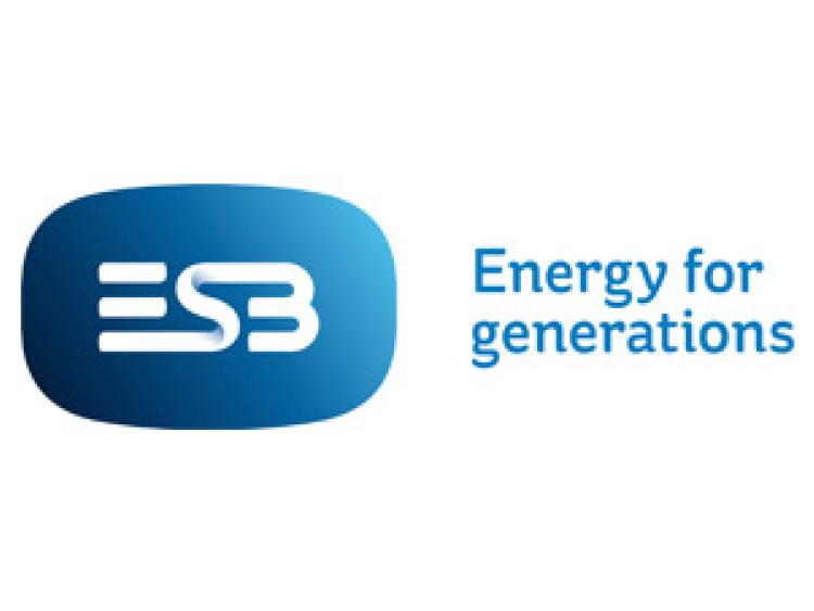 ESB crew working through the night to get power back to school and elderly in Edenderry