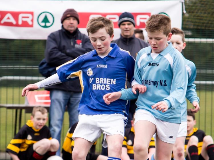256 Offaly students participate in SPAR FAI Primary School 5s County Final