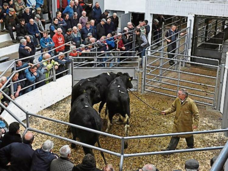 IFA to host Portlaoise farm finance meeting follwing bad year for farm earnings