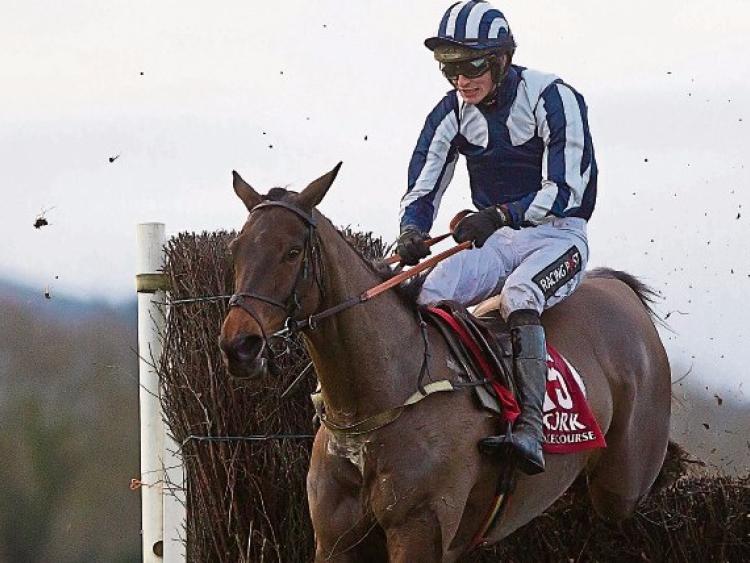 Mullins' magnificent seven are primed for Leopardstown