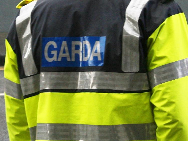 Witnesses should contact Kilkenny Gardai