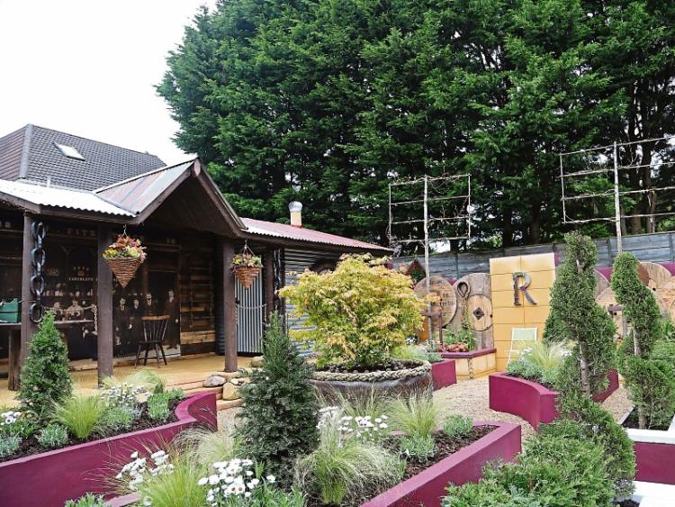 Limerick Super Garden wins silver at Bloom