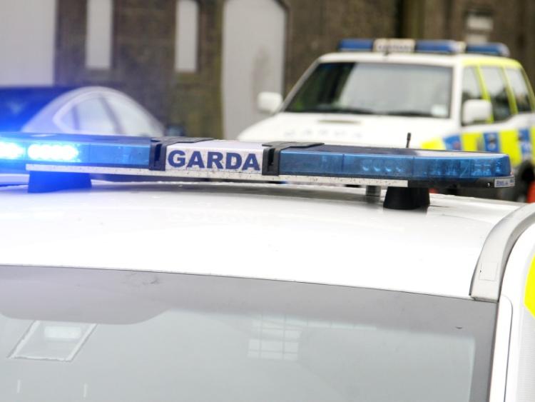 Gardai appealing for anyone with information about the incident to come forward