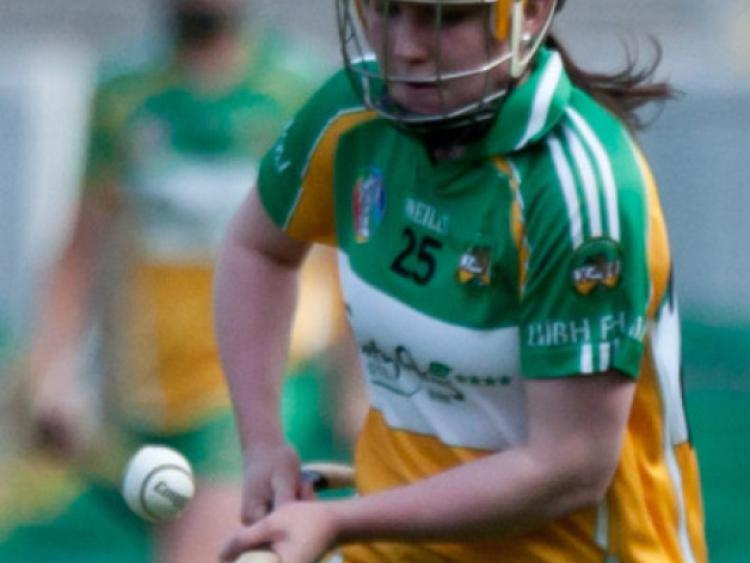 Offaly's Jean Brady showing a clean pair of heals too Dublin's Ciara Berkeley during their Irish Daily Star National Camogie League Division 1 match in O'Connor Park, Tullamore. Picture: Ger Rogers/HR Photo.