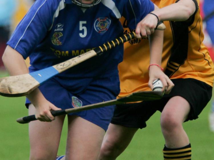 PREVIEW: Offaly Camogie semi-finals in town this weekend