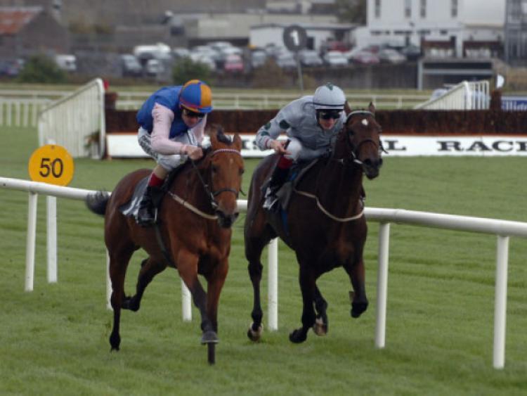 THE PUNTER'S EYE: Three horses worth backing this weekend 