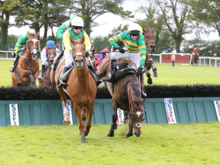 THE PUNTER'S EYE: Three horses to back this weekend