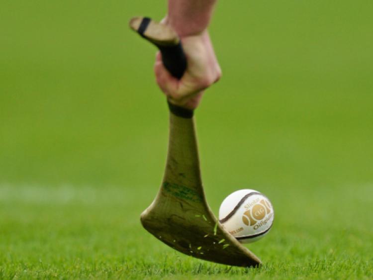 St Sinchills Camogie Club Notes (January 30)
