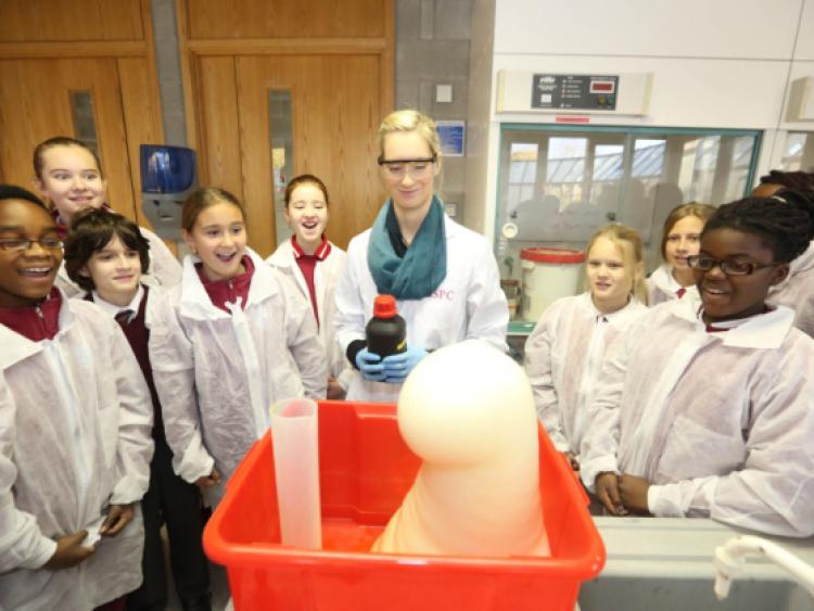 Midlands Science Festival taking place as part of Science Week 