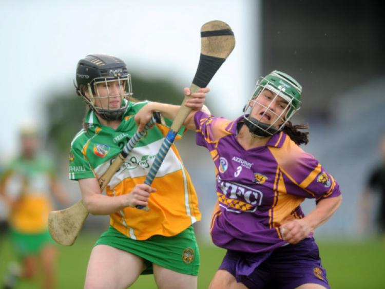 **no repro fee**  3 Aug 2013   Arlene Watkins, Offaly, in action against Noeleen Lambert, Wexford. Liberty Insurance All Ireland Senior Camogie Championship quarter-final, Wexford v Offaly, O'Moore Park, Portlaoise, Co Laois. Picture Credit: Caroline Quinn