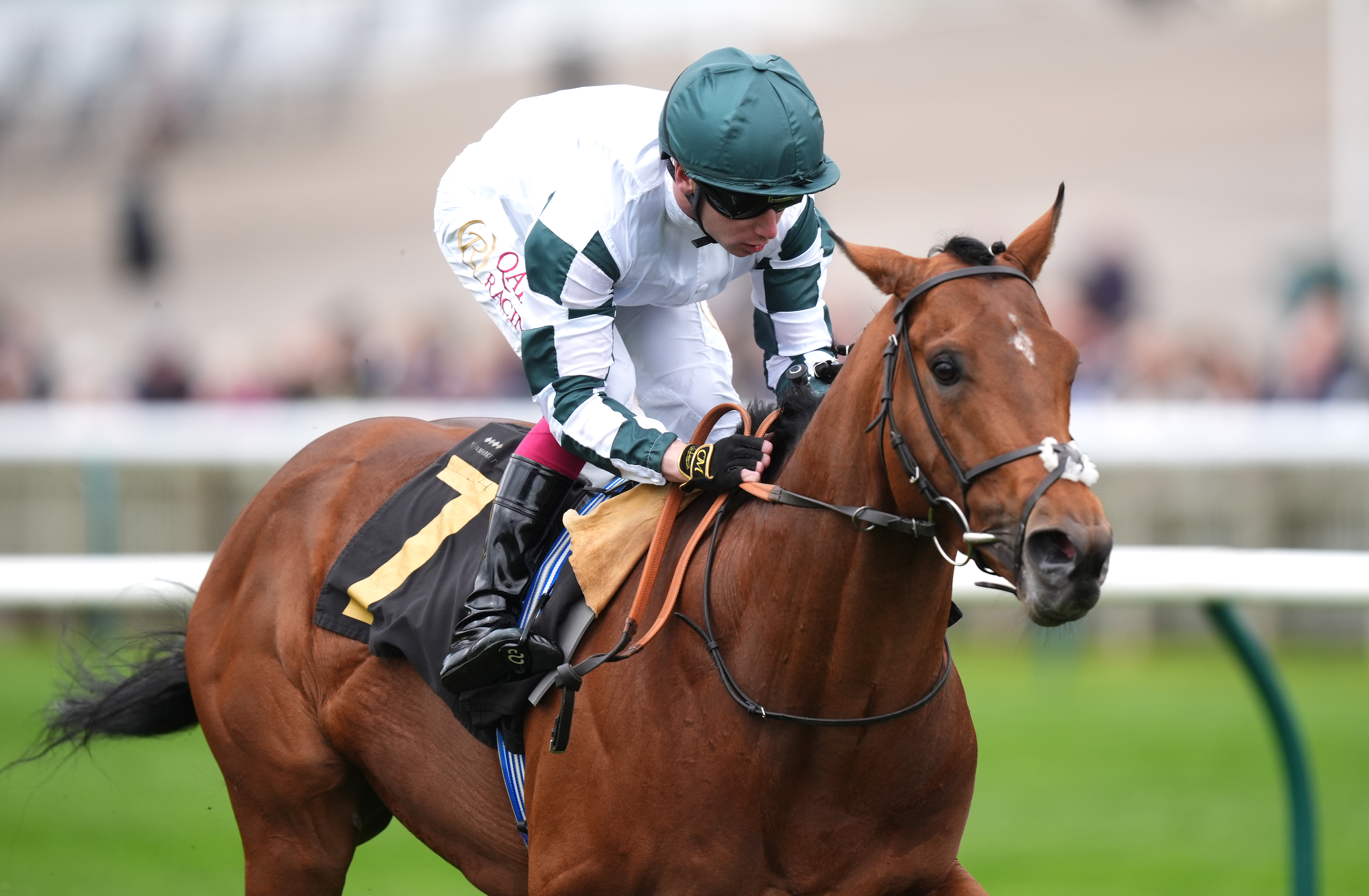 Double Rush creates big impression on first run for Balding