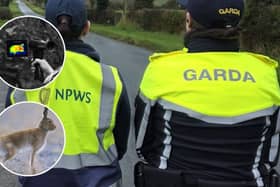 Illegal hare lurching, which is rife at time of year,  continues to take a huge toll on wildlife and on many people living in rural communities across Ireland