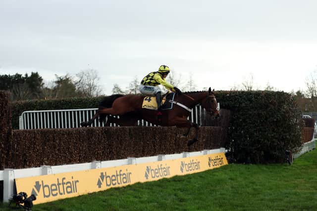 Lulamba – Arkle Novices’ Chase – Nicky Henderson