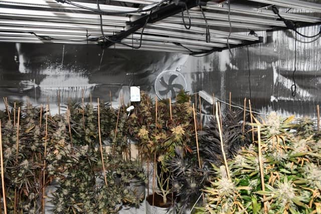 Massive drugs operation dismantled after Garda raids in Midlands on New Year's Eve